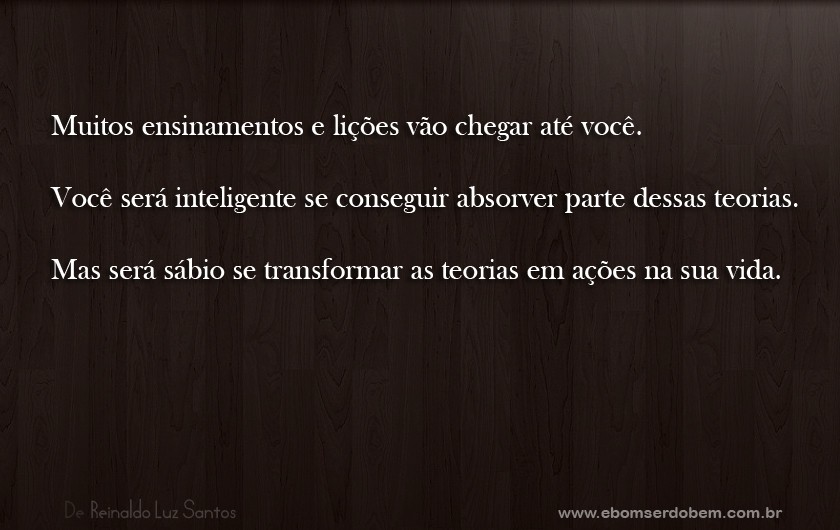  - teorias-e-pratica